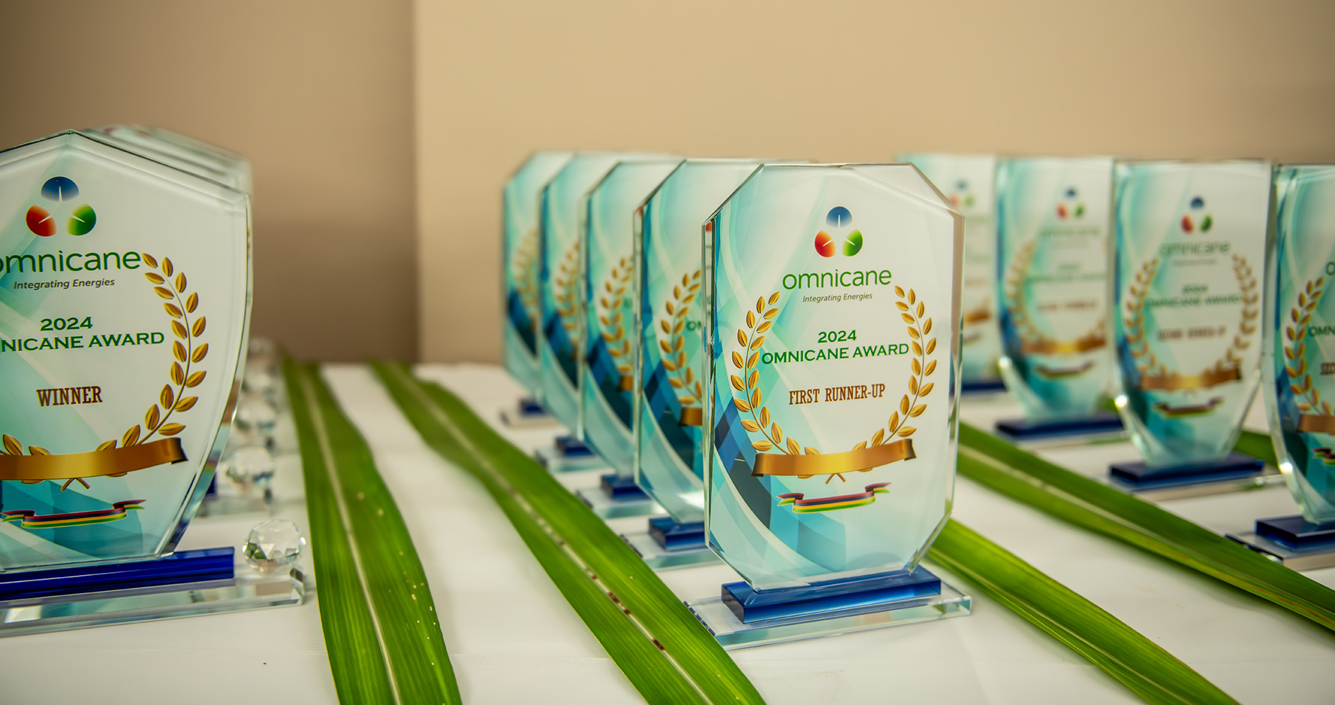 2025 Omnicane Award